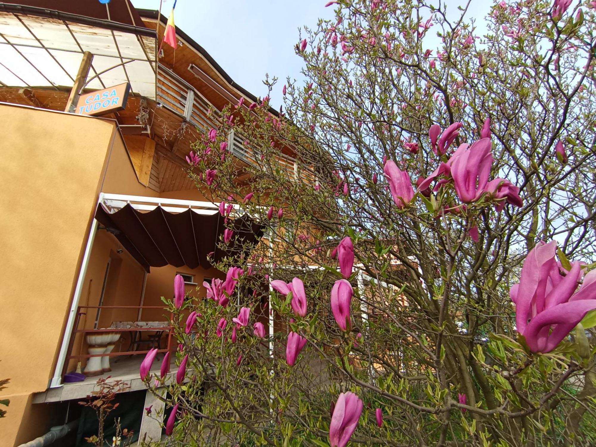 Casa Tudor Turda Extérieur photo